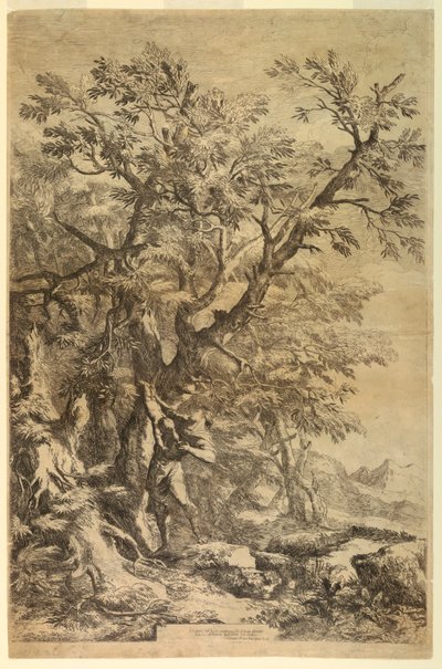 Ödipus auf dem Berg Kithairon ausgesetzt von Salvator Rosa