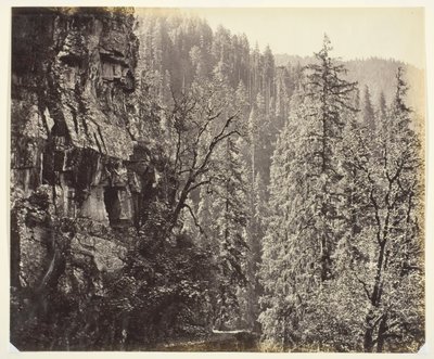 Ohne Titel [Klippen und Bäume], um 1865 von Samuel Bourne
