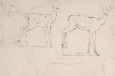 Studie für zwei stehende Pallah-Hirsche von Samuel Daniell