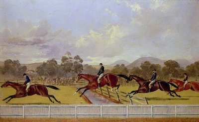 Ein Hindernisrennen von Samuel Henry Alken