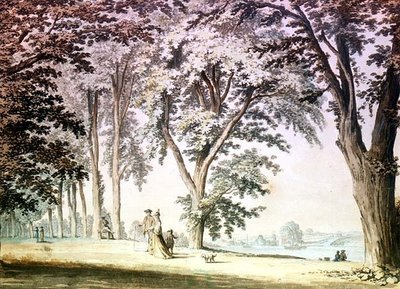 Bäume an der Themse gegenüber von Hammersmith von Samuel Hieronymous Grimm