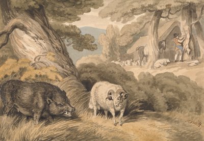Ein Wildschwein und ein Widder von Samuel Howitt