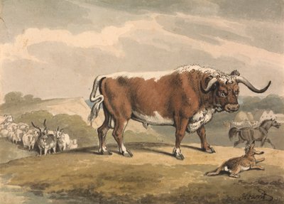 Ein Stier und ein Kaninchen von Samuel Howitt
