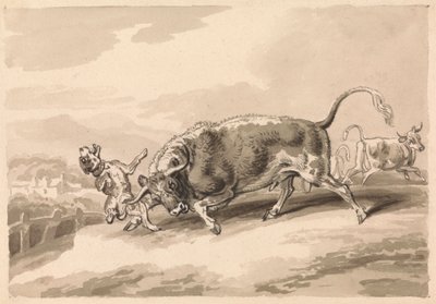 Stier greift Mastiff an von Samuel Howitt