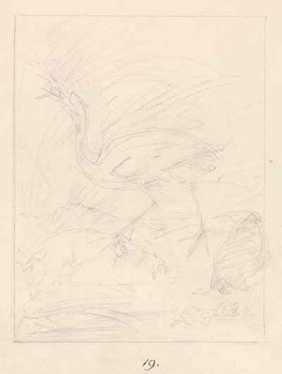 Kranich und Frösche von Samuel Howitt
