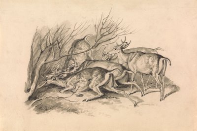Hirsche vor einem Dickicht von Samuel Howitt