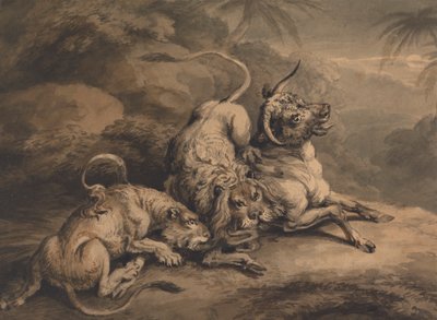 Löwe und Löwin greifen einen Ochsen an von Samuel Howitt