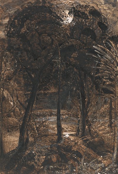 Eine mondbeschienene Szene mit einem gewundenen Fluss von Samuel Palmer