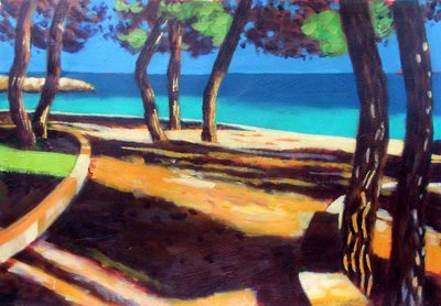 Schatten von Sara Hayward