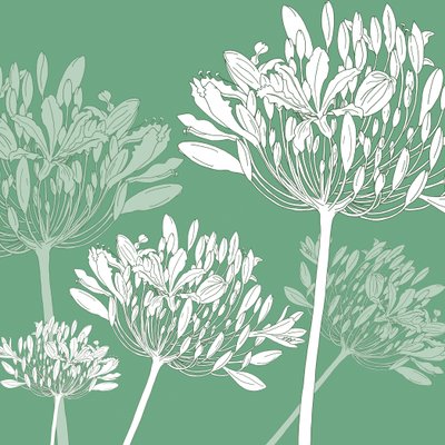 Agapanthus-Brise, 2005 von Sarah Hough
