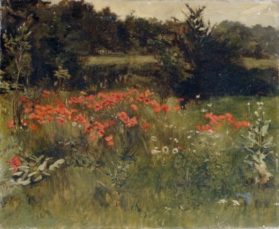 Mohnblumen, Reigate von Sarah Paxton Ball Dodson