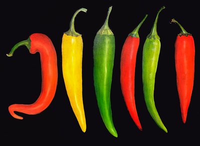 Fünf Chilis, 2024 von Sarah Thompson Engels
