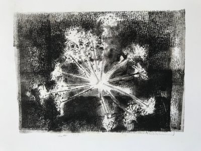 Samenkopf II von Sarah Thompson Engels