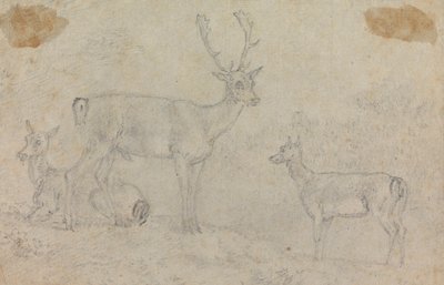 Ein Hirsch und zwei Rehe von Sawrey Gilpin