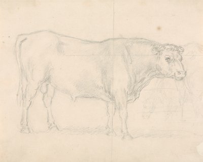 Studie eines Stiers von Sawrey Gilpin