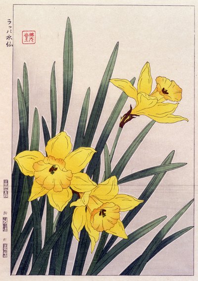 Nahaufnahme von Narzissen - Japanischer Druck von Japanese School