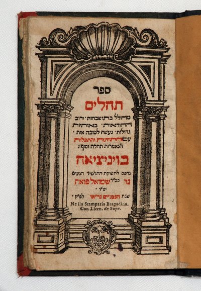 Buch der Tehilim von School Jewish