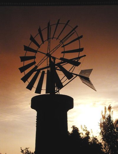 Windmühlen auf Es Pla, Palma von School Spanish
