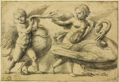 Putti spielen mit Schwänen von School of Raphael