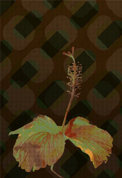 Hibiskus, 2019 von Scott J. Davis