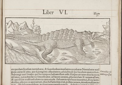 Cosmographia, Fol 1137, 1544 von Sebastian Munster