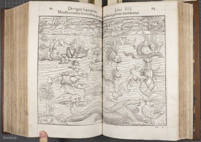 Cosmographia, Fol 852-853, 1544 von Sebastian Munster