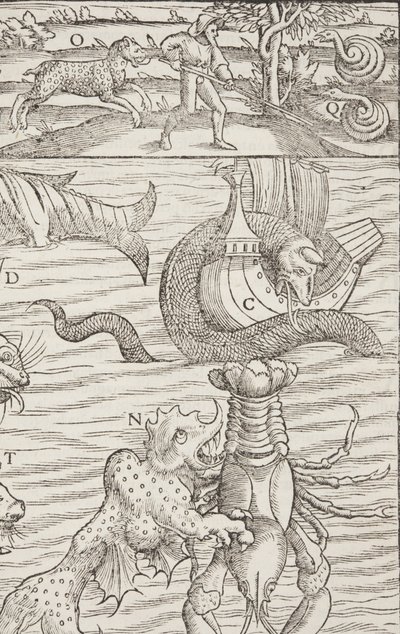 Cosmographia, Fol 853, 1544 von Sebastian Munster