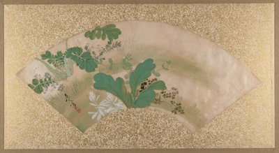Verschiedene Pflanzen und Gräser, spätes 19. Jahrhundert von Shibata Zeshin