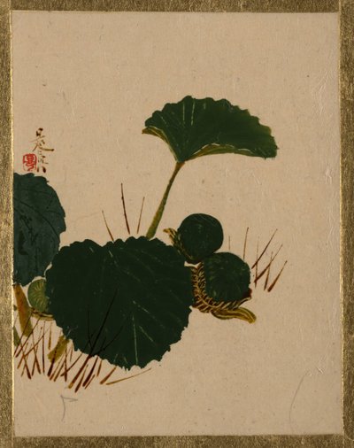 Wurm auf grünblättriger Pflanze von Shibata Zeshin