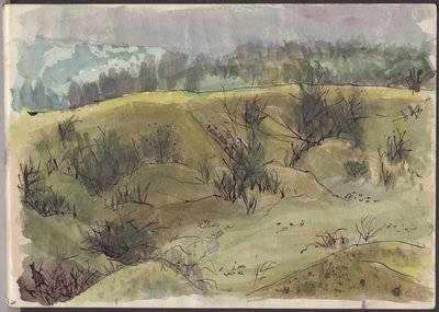 Landschaft mit Büschen, Italien, ca. 1950 von Shirley Markham