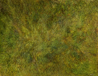 Homogene Dynamik von Silvian Sternhagel
