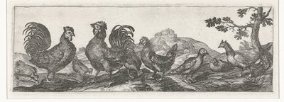 Geflügel von Simon Frisius