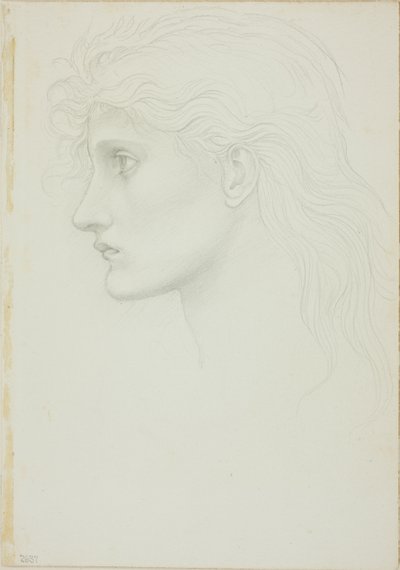 Kopf eines Mädchens nach links gewandt von Sir Edward Burne Jones