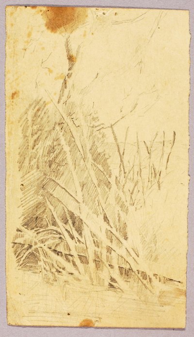 Laubwerk von Solon H. Borglum
