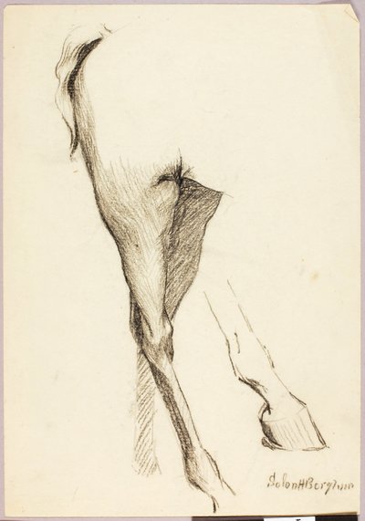 Pferdestudie von Solon H. Borglum