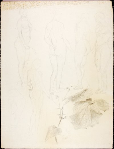 Akt und Blatt von Solon H. Borglum
