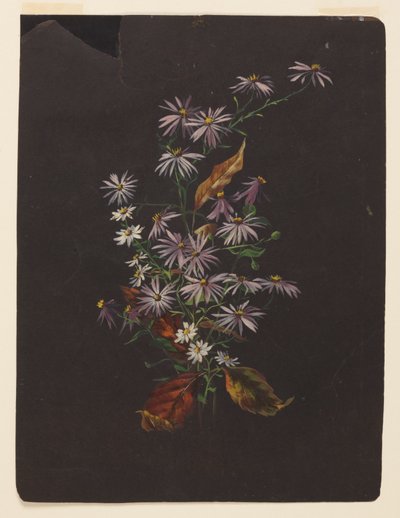 Studie eines Herbststraußes von Sophia L. Crownfield