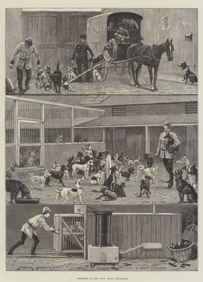 Skizzen im Hundeheim, Battersea von Stanley Berkeley