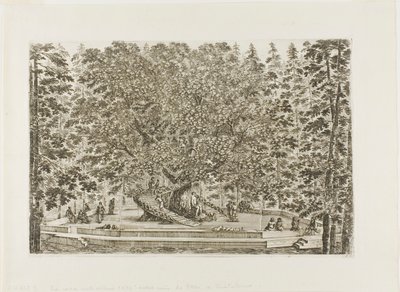 Der Brunnen der Eiche von Stefano della Bella