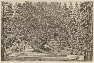 Der bewohnte Baum von Stefano della Bella