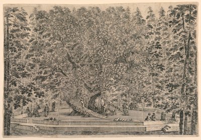 Baum mit zwei Wendeltreppen von Stefano della Bella