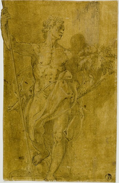 Studie für männliche allegorische Figur von Taddeo Zuccaro