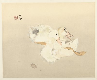 Junge Enten von Takeuchi Seiho