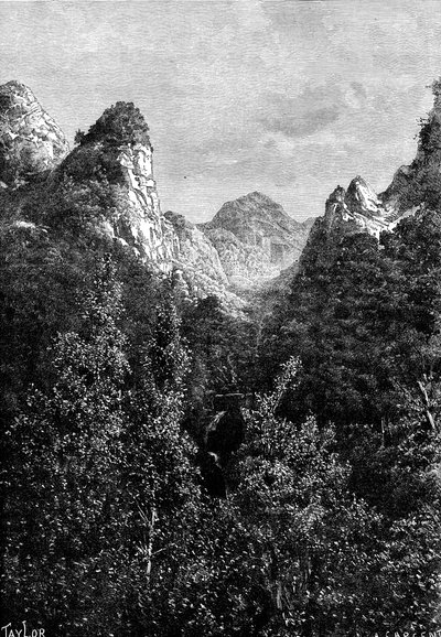 Madeira, Portugal, 1895 von Taylor