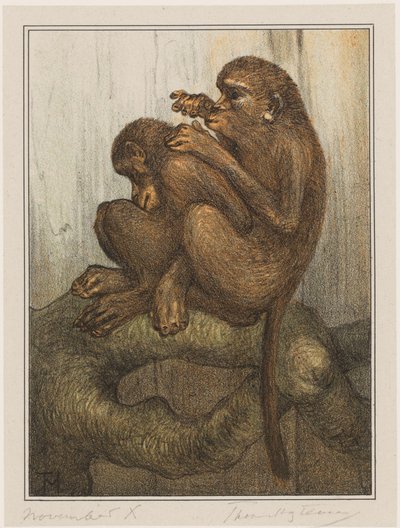 Lausende Affen von Theo van Hoytema (signed by artist)