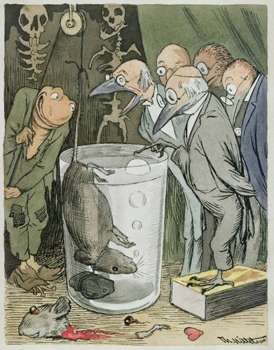 Ein wissenschaftliches Experiment eines Arztes von Theodor Kittelsen