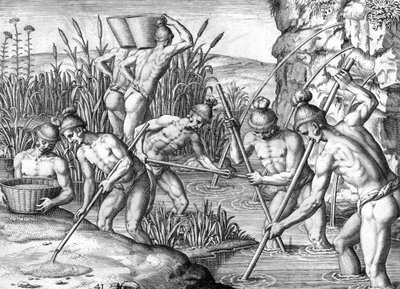 Timucua-Indianer sammelt Gold von Theodor de Bry
