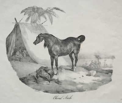 Arabisches Pferd von Theodore Gericault
