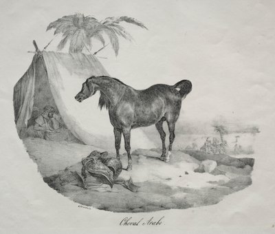 Arabisches Pferd von Theodore Gericault