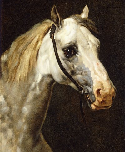 Kopf eines Scheckenpferdes von Theodore Gericault